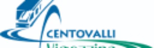 Ferrovia Vigezzina Centovalli Fart SA